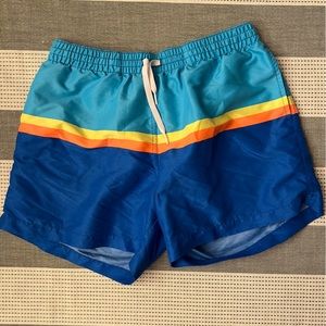 Mens Chubbies Swim Trunks Size L